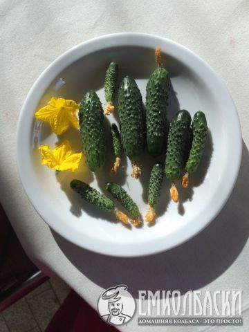 Ну, и что дальше?