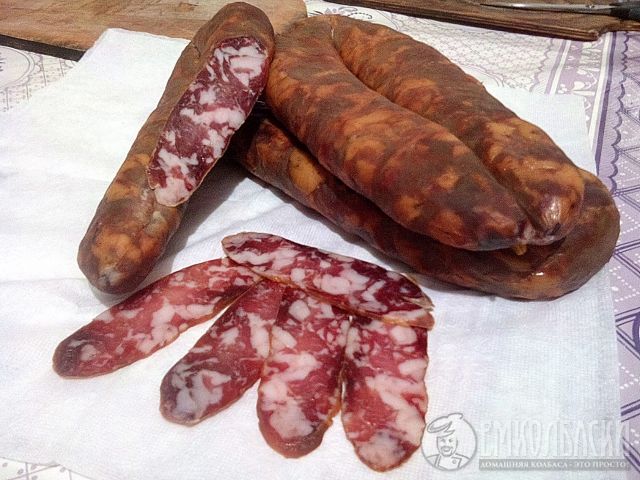 беларусская1