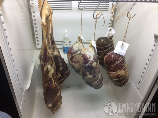 09.17 Второй цикл.