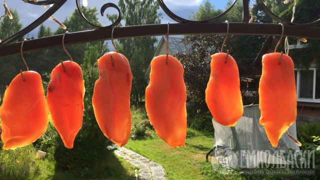 Куриная радость