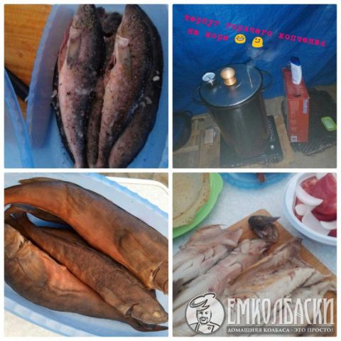 Терпуг горячего копчения на море (собственное приготовление)