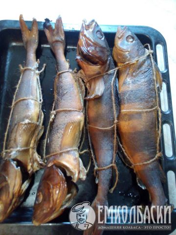 Терпуг дома