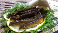 DSC00080.JPG