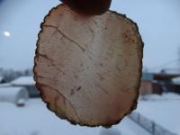 DSC00055.JPG