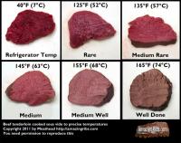 2011-08-04-meat_temps_combined.jpg
