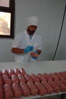 Cellito 074.jpg