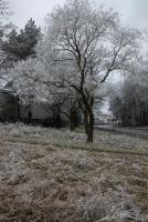 _H8A2663_800x1200.jpg