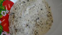 DSC07413.JPG
