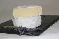 Bio-Camembert.jpg
