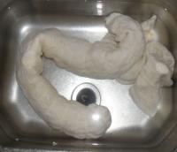 15.JPG
