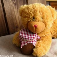 _MG_8073.jpg