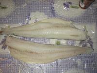 IMG_1549.JPG