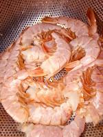 IMG_E7829.JPG