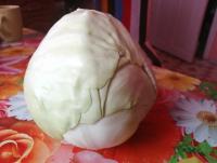 IMG_20200202_152520.jpg