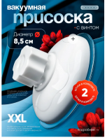 изображение_2026-02-07_101048530.png