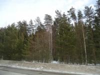 DSC06757.JPG