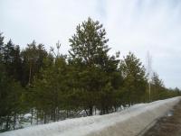 DSC06756.JPG