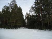 DSC06759.JPG