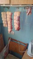 IMG-20200329-WA0002.jpeg