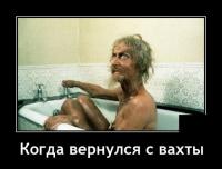 208249_4_trinixy_ru.jpg