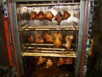 DSC07953.JPG