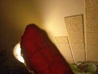 20250309_145126.jpg