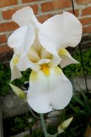 IMG_20150515_121141.jpg