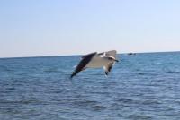 IMG_5651.JPG