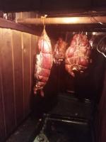 IMG_20200419_120026.jpg