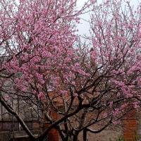 IMG_20220408_165539 (1).jpg