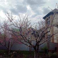 IMG_20220411_153642.jpg