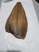 20201003_200517.jpg