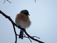 IMG_8820.jpg