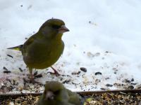 IMG_8790.jpg