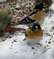 IMG_8840.JPG