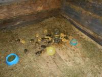 DSCN13801.JPG