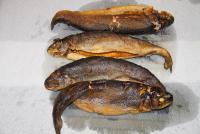 DSC00051.JPG