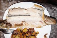 DSC00053.JPG