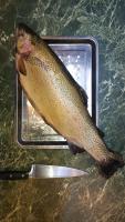 IMG_20251204_135121_763.jpg