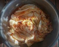Kimchi_2026.jpg