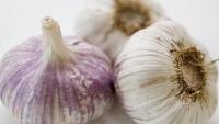knoblauch.jpg