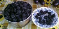 Фото0292.jpg