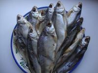 DSC09010.JPG