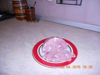DSCN2745.JPG