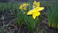 20170529_173937.jpg