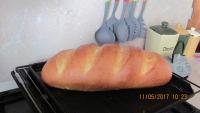 IMG_54151.JPG