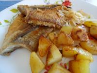 DSC07537.JPG