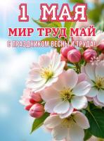 Изображение WhatsApp 2025-05-01 в 10.09.44_98ec9113.jpg