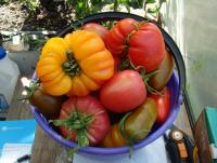 DSC07035.JPG