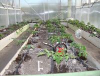 DSC08108.JPG